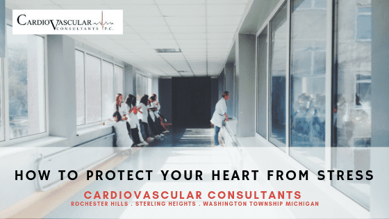 Read more about the article How To Protect Your Heart From Stress